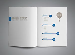 專(zhuān)業(yè)咨詢(xún)公司產(chǎn)品手冊(cè)設(shè)計(jì)與圖文制作指南